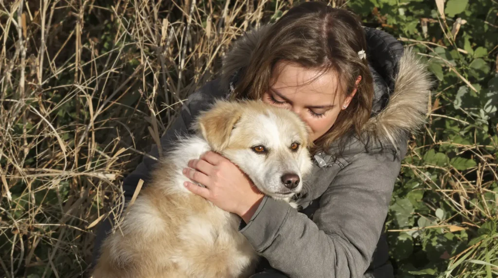« J'ai continué d'y croire, mais j'ai tellement pleuré » : Twix, le chien de Manon, a passé onze jours dans la nature en Eure-et-Loir
